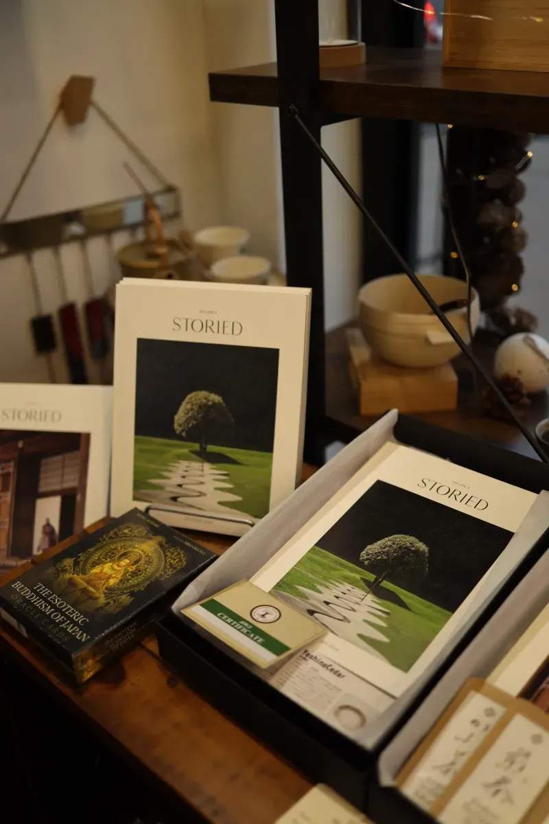 Lichtblick Studio Wien 14